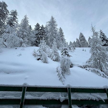 Ski Lodge Pampeago Tesero Kültér fotó